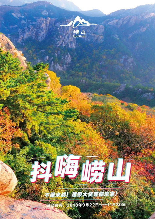 第三方平台？较小心被坑！我的亲身经历警醒你