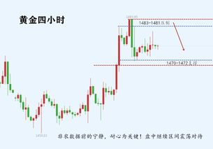 从强格的特性与局限性