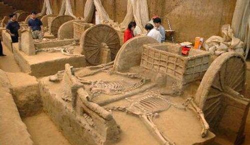 植被茂盛：生命力与繁荣的象征