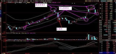 打造“冷静角”：情绪管控与理性决策