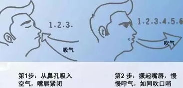 绪论：在呼吸束缚与生命边缘之间的隐喻性关联