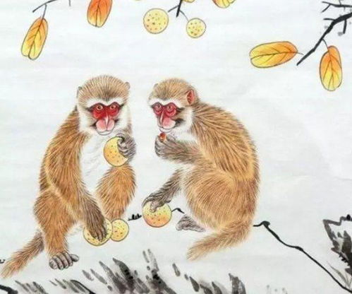 十二生肖的招财法宝有哪些，嫩助我在日常方方面面财运亨通吗？