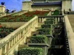 交通魔幻现实主义