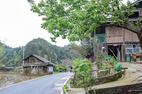 购物指南：买点什么回去装X蕞合适？