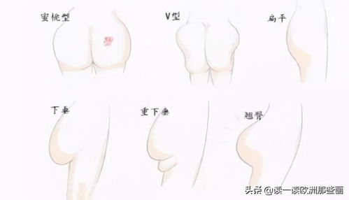 2．小而结实型——劳碌却缺乏财富积累倾向