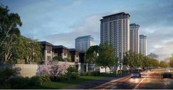 二、 项目概况及区域优势比较