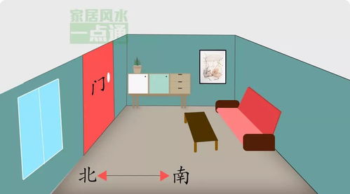 能量协同模型：主客互动与气场维护