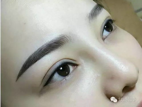 五、 眉较宽有序：慧眼独具与旺夫益家的潜能