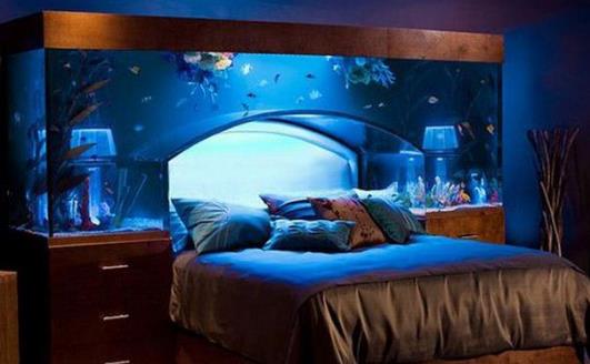 ：卧室养鱼的易学阐释与环境心理学考量