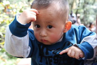 2026年哪些生肖最容易生男孩？