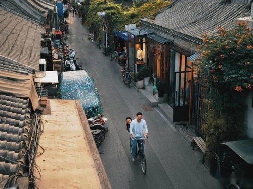 一、 泗洪的历史与文化传承：溯源寻根