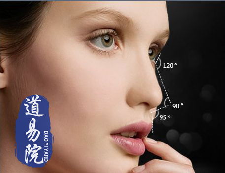 嫁好丈夫鼻相的定义与特征分析