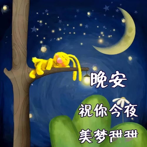 夜晚恐惧的普遍性及其成因