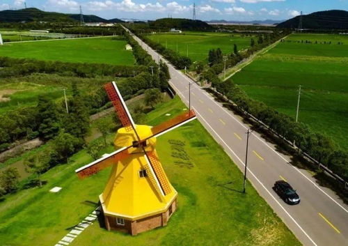 这就是所谓的923线路?简直是一场闹剧般的狂欢!