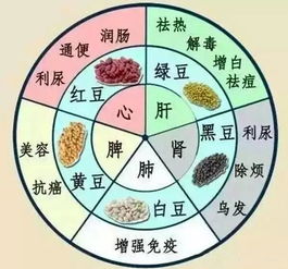 (二) 中医 