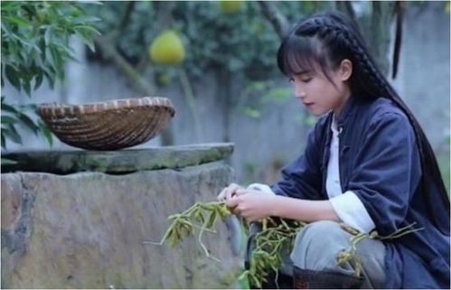 李子柒现象背后的文化软实力