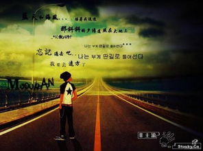 噪声—让人生变得更真实