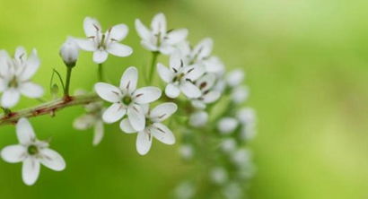 二、  适宜“缺木命人”发展的行业分析