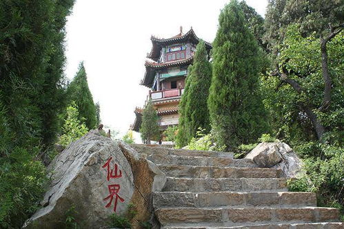 四川乐山有哪些道观提供特别准确的算命服务？