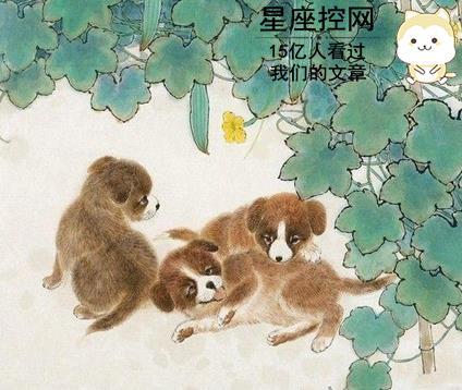 天生大力究竟对应哪个生肖？这个生肖以强大的力量著称。