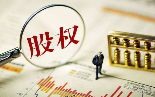 三、 争议焦点与风险因素评估