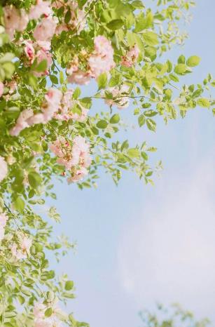 五月初四为黄道吉日，那么每个月的初四都是吉日吗？