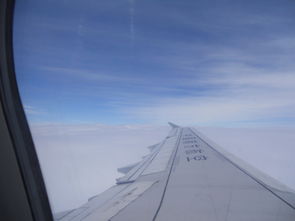 一场惯与逃离金石滩奔赴周水子的迷幻自驾实录