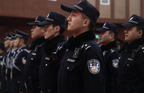 3. 性别差异视角下的捕快交互