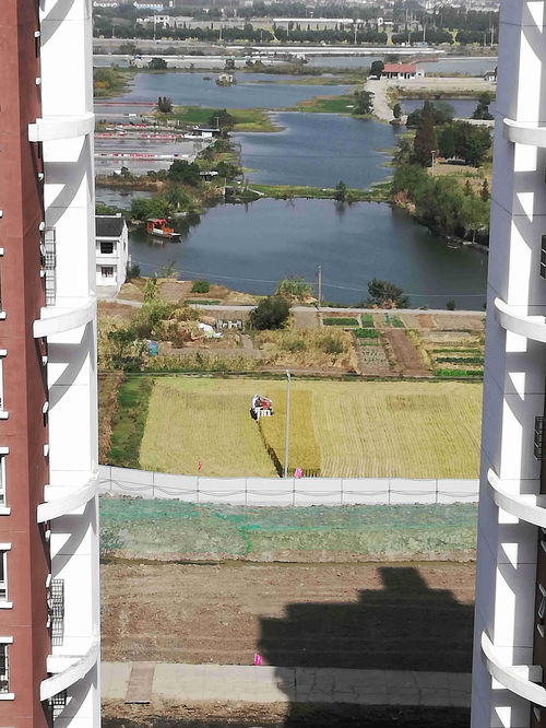 安装风水池需要注意哪些风水讲究？