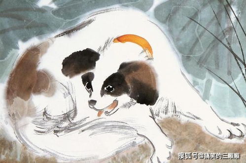 6. 属狗（狗）——抗压适应环境性卓越者