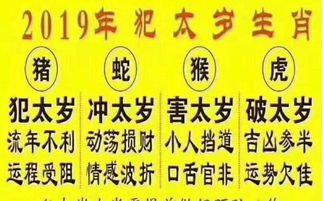犯太岁化解的必要性与实际效果