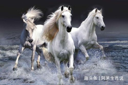 1978年属马的人今年的运势具体分析是什么？