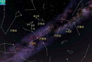 七杀星之爱情风格与潜在伴侣特征