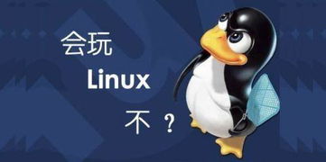 三、 个人经历对感知的影响：主观感受与客观现实的边界