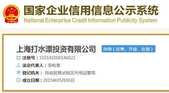 案例评述：典型网络公司名称解析