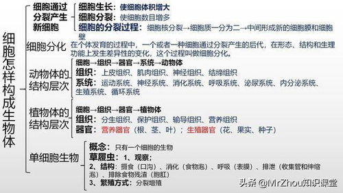 （二）农历腊月初八（对应公历2025年12月25日至2025年12月26日）