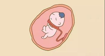 三、  胎记的类型与吉凶判读：从形态到象征