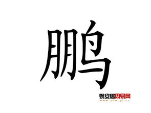鹏字取名数理吉，公司取名最佳配字如何选择？
