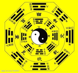 金：坚韧与力量
