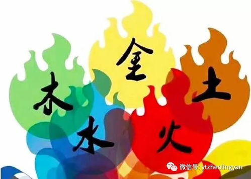 五行缺金宝宝人生前景