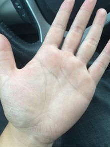 手掌纹看感情运势，没有事业纹预示着什么？