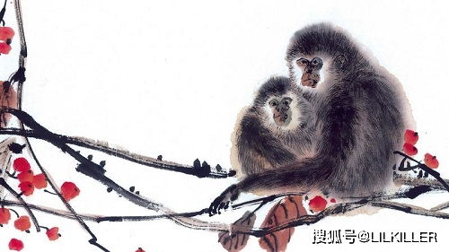 2026年属猴财运如何？全年财运分析具体是什么？