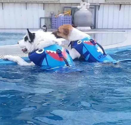 风水角度解析