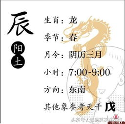 女命地支寅木暗藏哪些玄机？其意象和类象解读是什么？