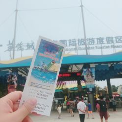 分人群定制：你的‘最优团购方案’到底该怎么选？