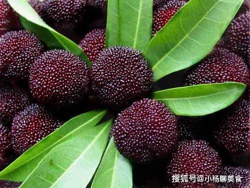 杨梅颜色的秘密语言：彩虹般的预兆密码