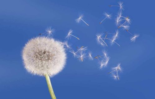 梦见逝去的亲人预示着什么？是吉是凶，现在了解还来得及吗？