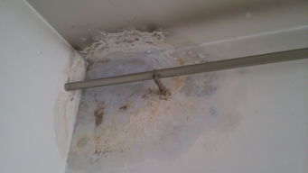 1. 屋顶结构问题与潜在风险