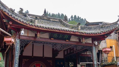 净土寺：周边环境清幽，空气清崭新