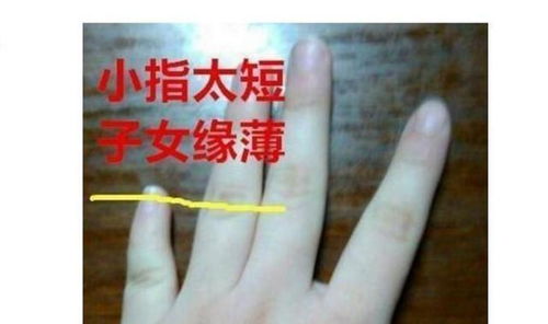 面相学视域中子女缘分较深较浅之判定框架